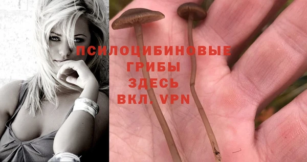 кокаин колумбия Алексин