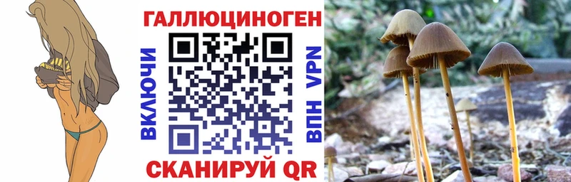магазин продажи наркотиков  Саранск  блэк спрут зеркало  Галлюциногенные грибы ЛСД 