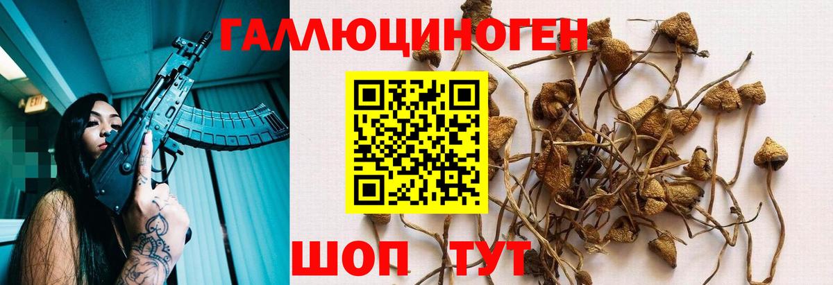 Псилоцибиновые грибы прущие грибы  Вход с VPN  Саранск 